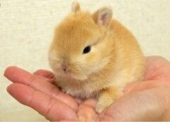 ゆうじ